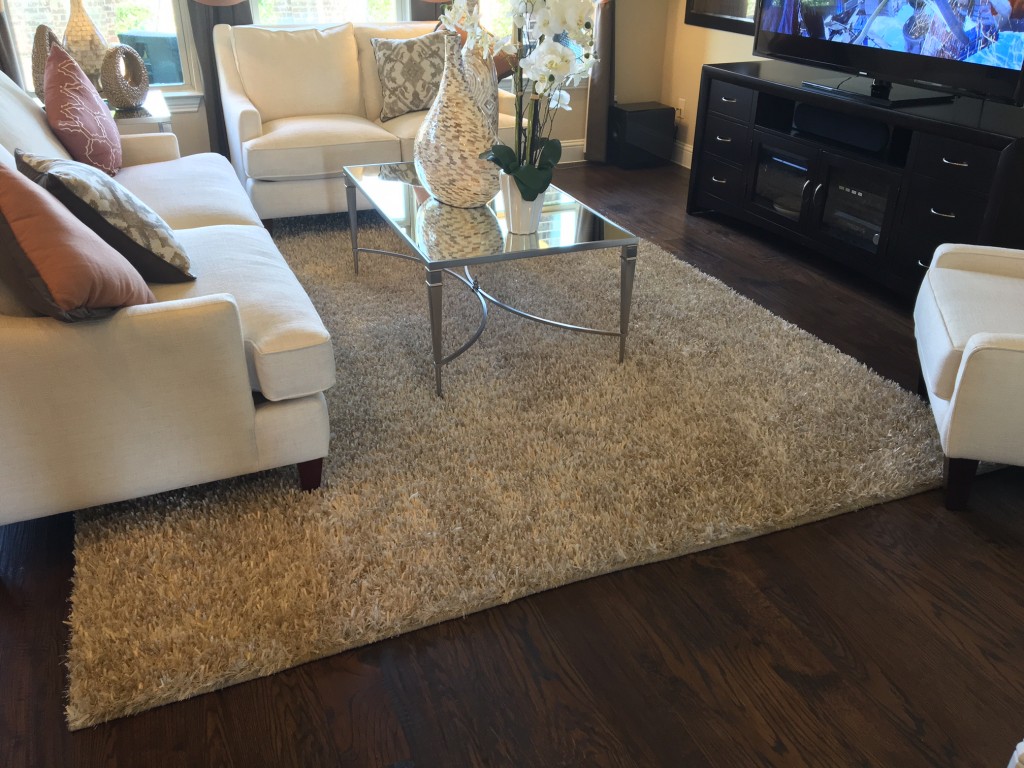 proper rug for living room