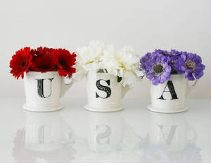 Shopping/patrioticflowermugs.jpg